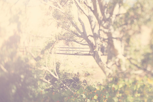 background,